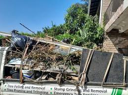 Best Demolition Debris Removal  in Lanse, MI